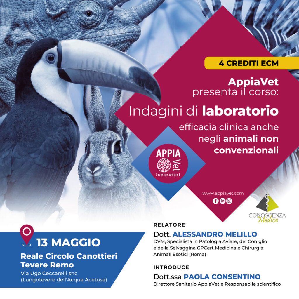L'evento del 13 Maggio è stato un grande successo
